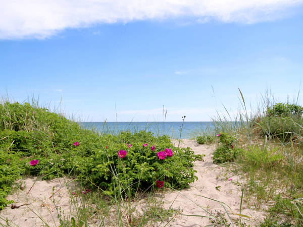 Travel along the sea with Taxi Ljugarn on Gotland.